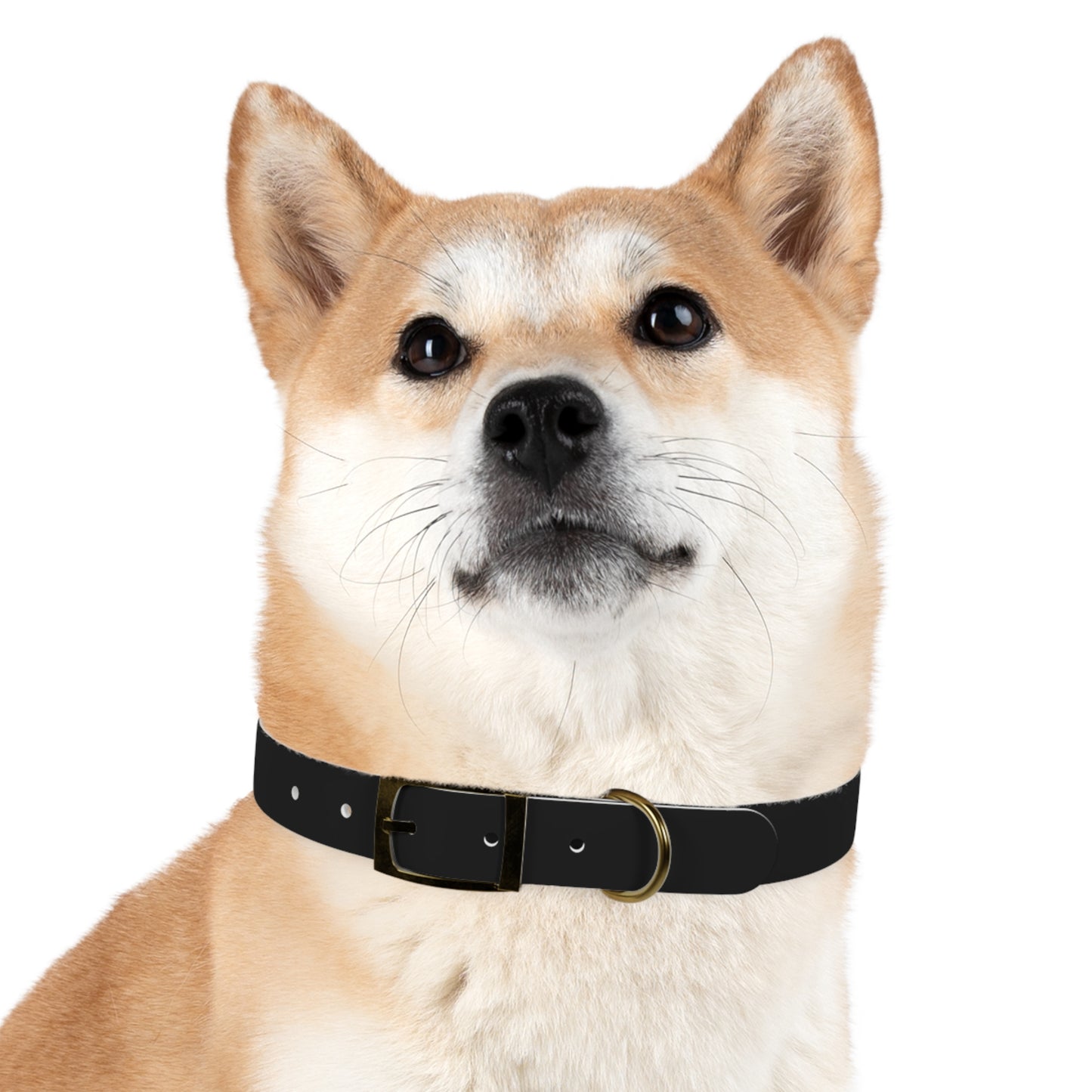 Xclusive: Cancerslug Collar Accessory (Made for "Dogs" - Please Read Description Closely)