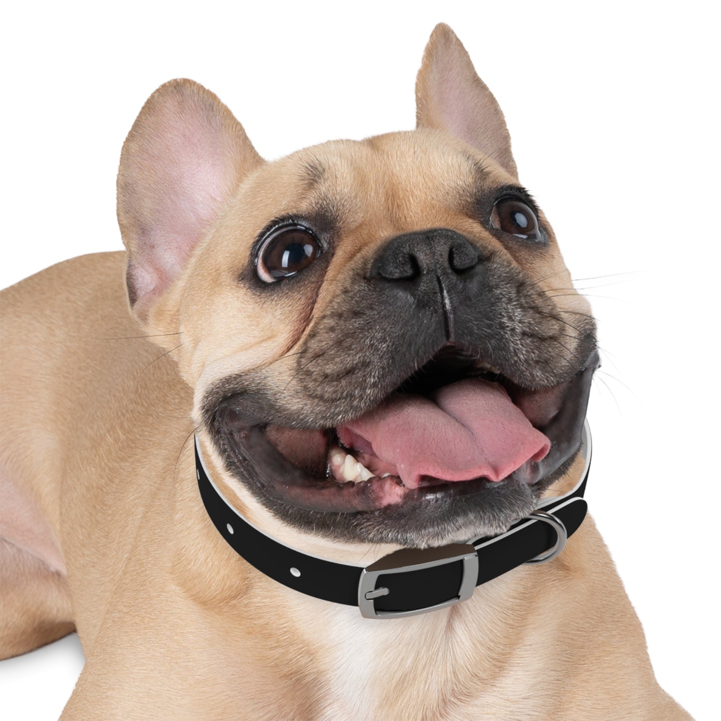 Xclusive: Cancerslug Collar Accessory (Made for "Dogs" - Please Read Description Closely)