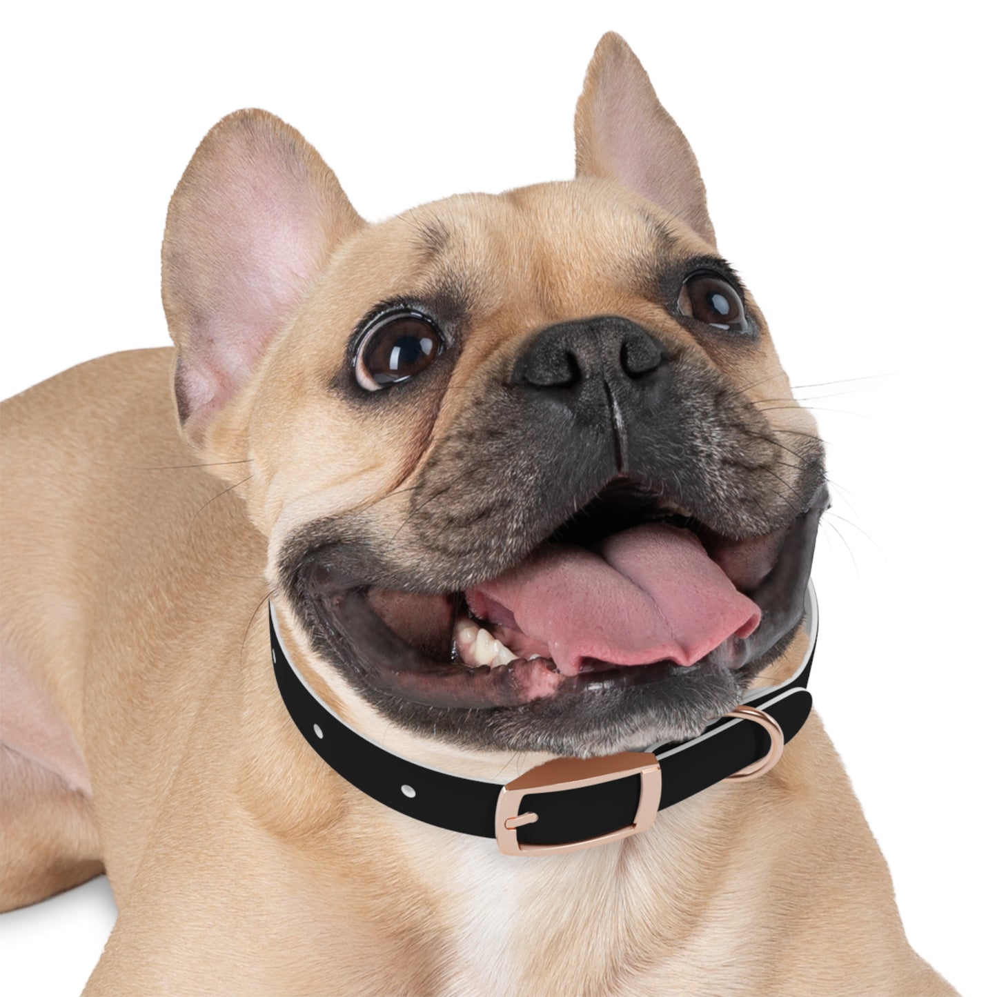 Xclusive: Cancerslug Collar Accessory (Made for "Dogs" - Please Read Description Closely)