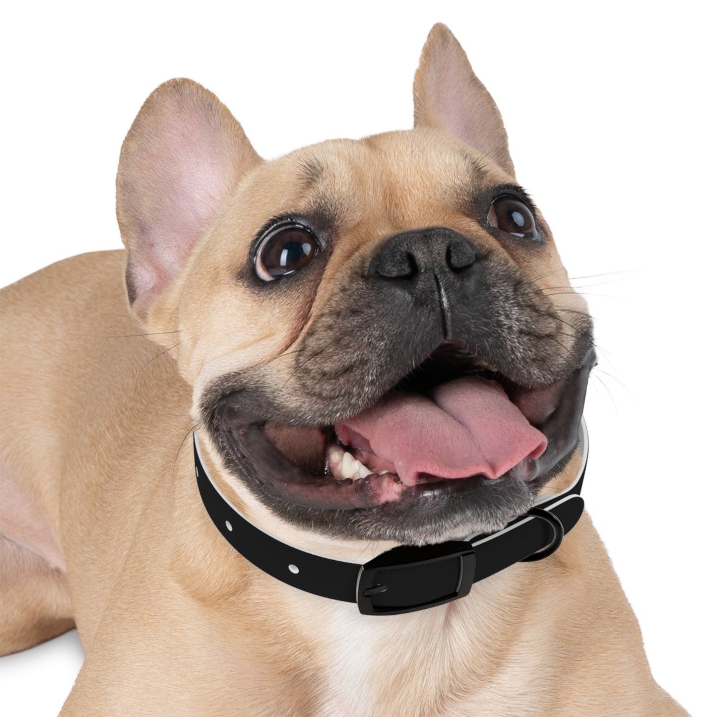 Xclusive: Cancerslug Collar Accessory (Made for "Dogs" - Please Read Description Closely)