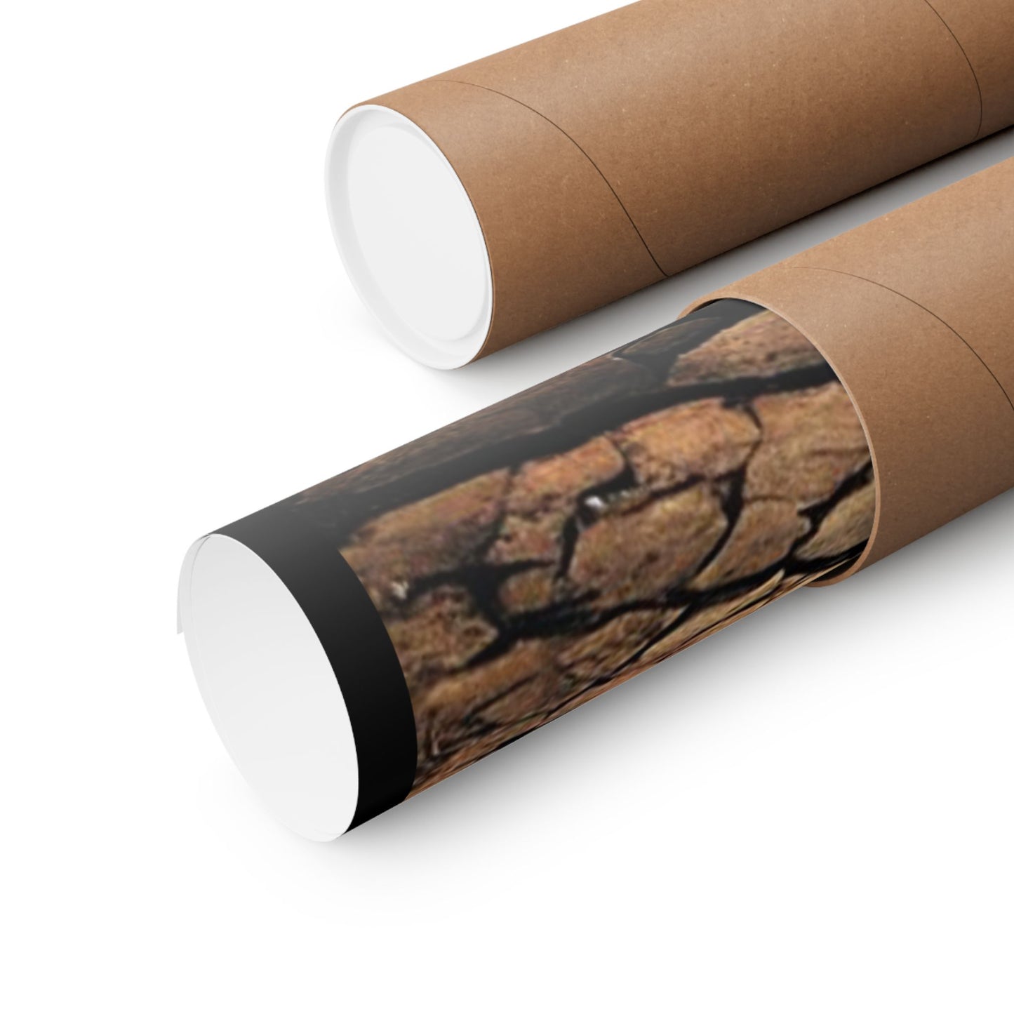 Alex Story - Blood Meridian Poster