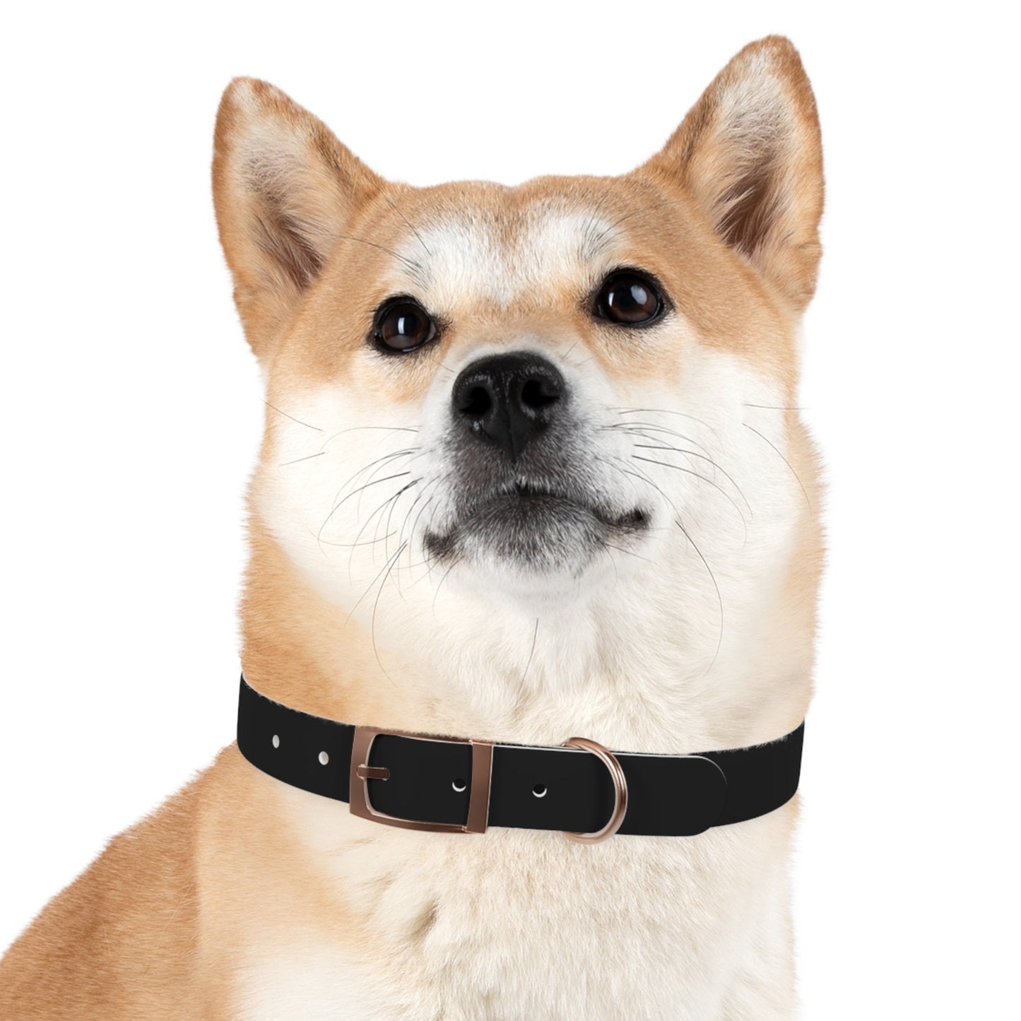 Xclusive: Cancerslug Collar Accessory (Made for "Dogs" - Please Read Description Closely)